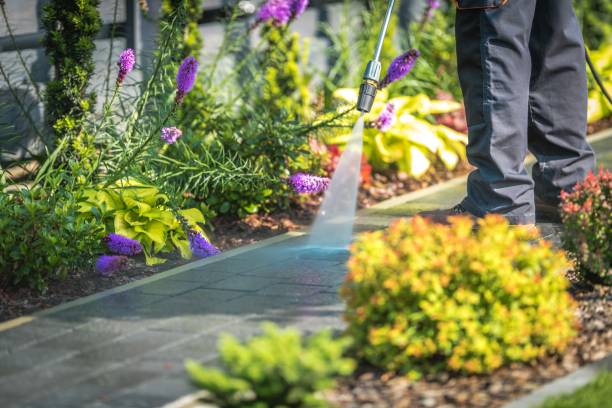 Professional Pressure Washing Services in Hannahs Mill, GA